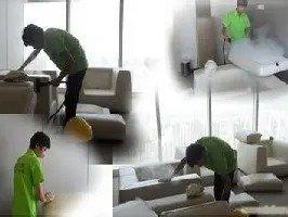 湛江军创佳美 专业守护，营造室内车内的洁净呼吸空间